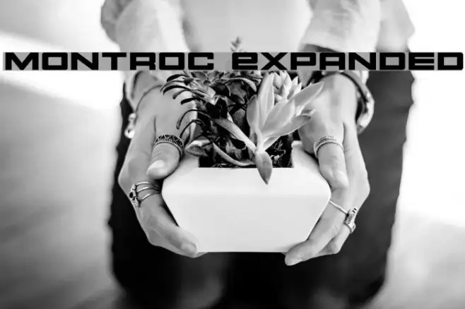 Montroc Expanded Example 2