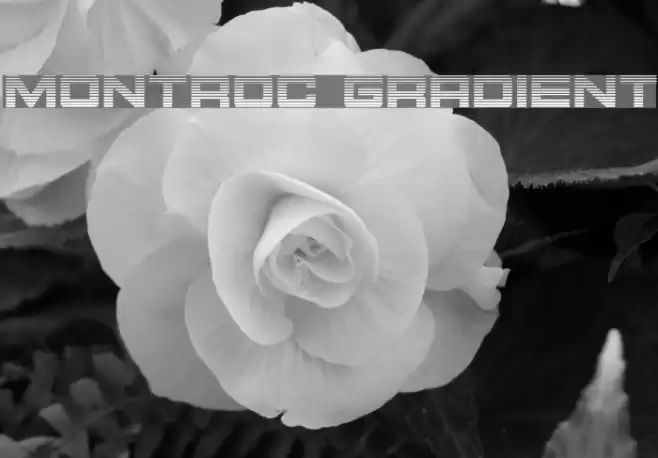 Montroc Gradient Font examples