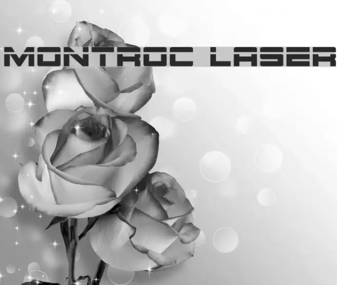 Montroc Laser Example 1