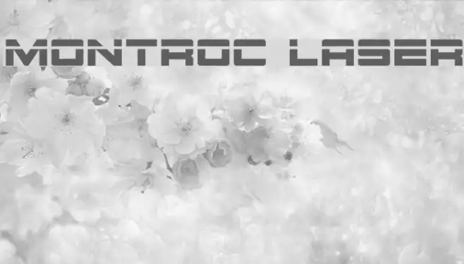Montroc Laser Example 2