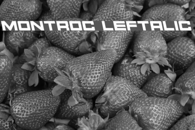 Montroc Leftalic Font examples