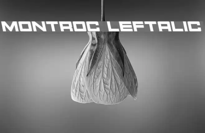 Montroc Leftalic Font examples