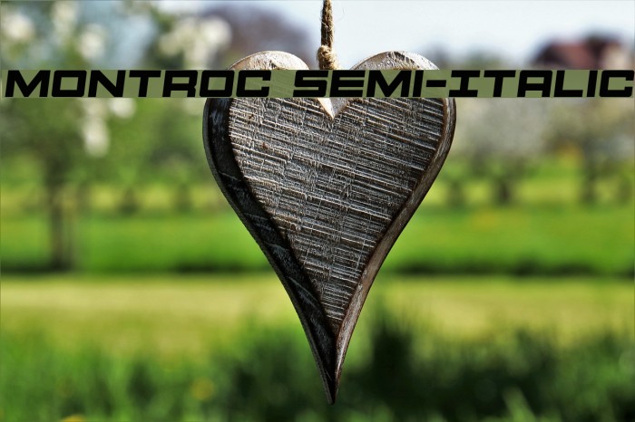 Montroc Semi-Italic Font examples