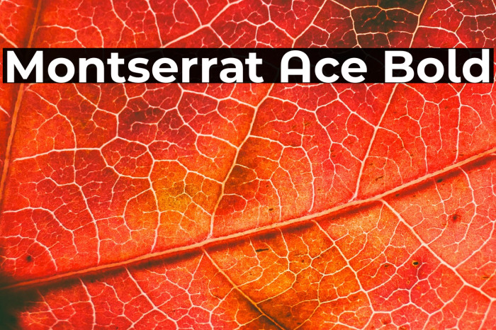 Montserrat Ace Bold Example 1