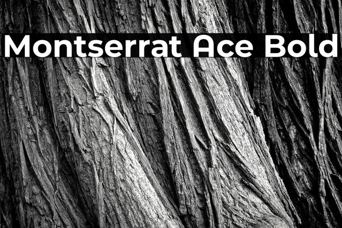 Montserrat Ace Bold Example 2