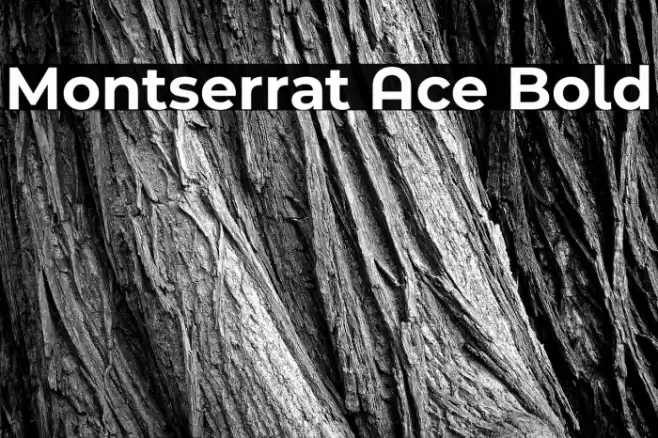 Montserrat Ace Bold Font examples