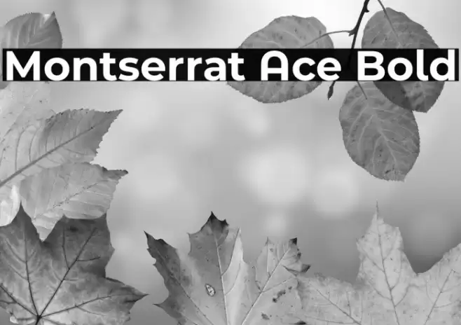 Montserrat Ace Bold Font examples