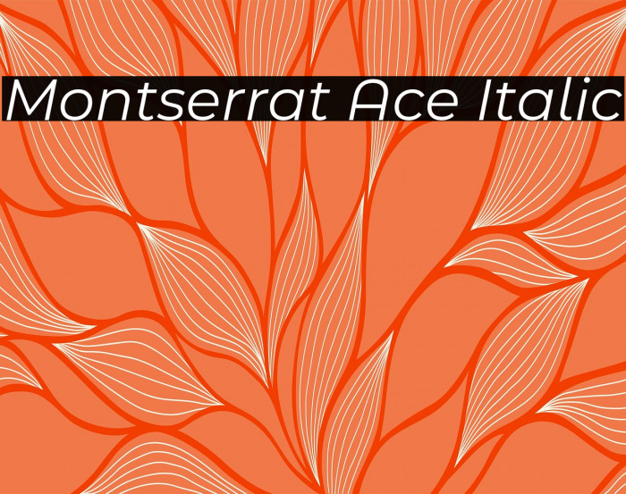 Montserrat Ace Italic Example 1