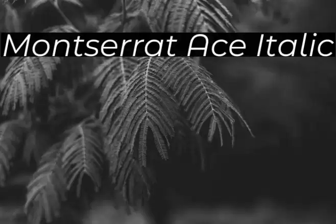 Montserrat Ace Italic Font examples