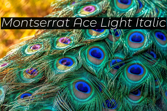 Montserrat Ace Light Italic Example 1