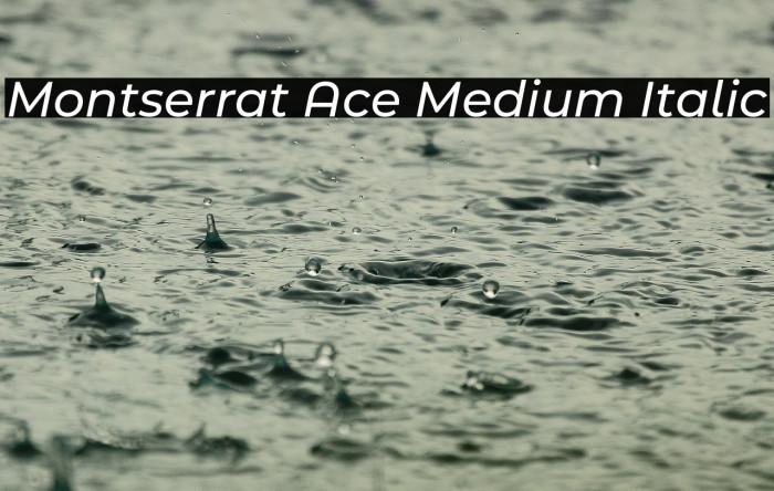 Montserrat Ace Medium Italic Example 3