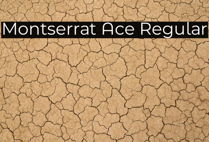 Montserrat Ace Regular Example 1