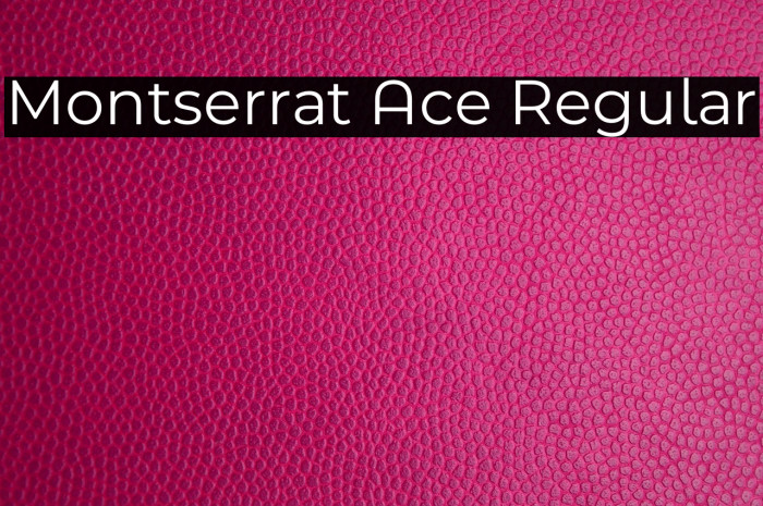 Montserrat Ace Regular Example 3