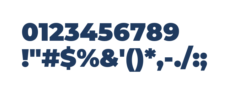 Montserrat Alternates Black Other Characters