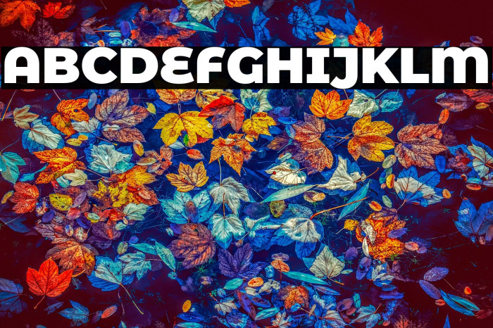 Montserrat Alternates Black Example 1