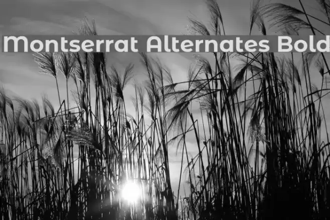 Montserrat Alternates Bold Font examples