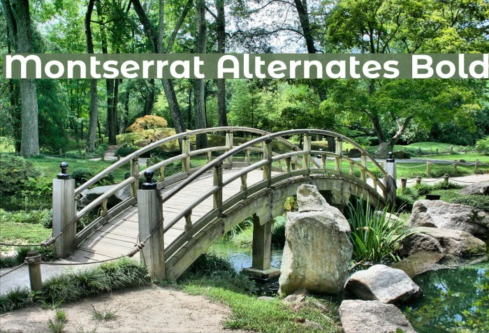 Montserrat Alternates Bold Example 2