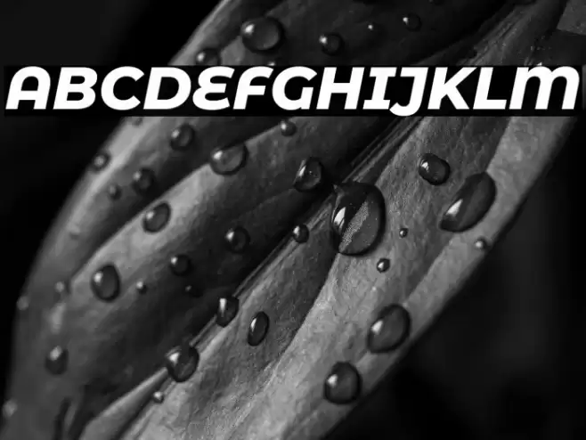 Montserrat Alternates ExtraBold Italic Font examples