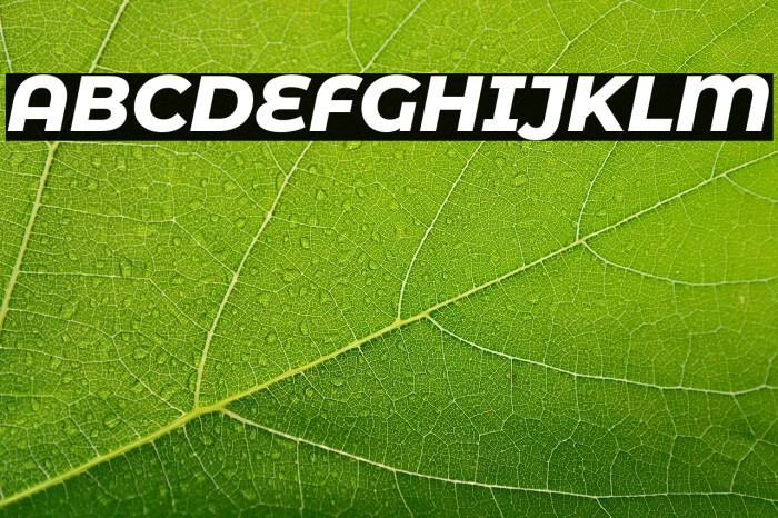 Montserrat Alternates ExtraBold Italic Example 2