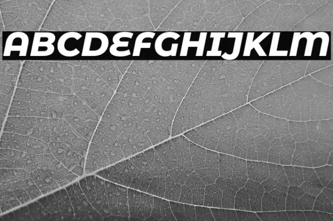 Montserrat Alternates ExtraBold Italic Font examples