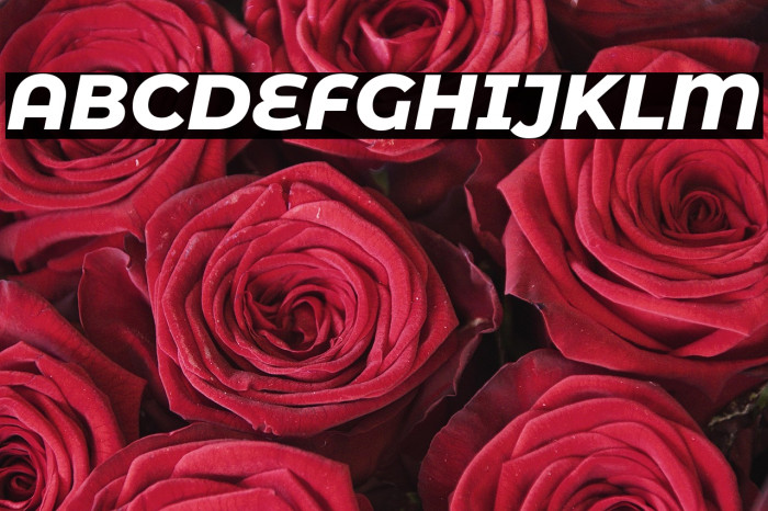 Montserrat Alternates ExtraBold Italic Example 3