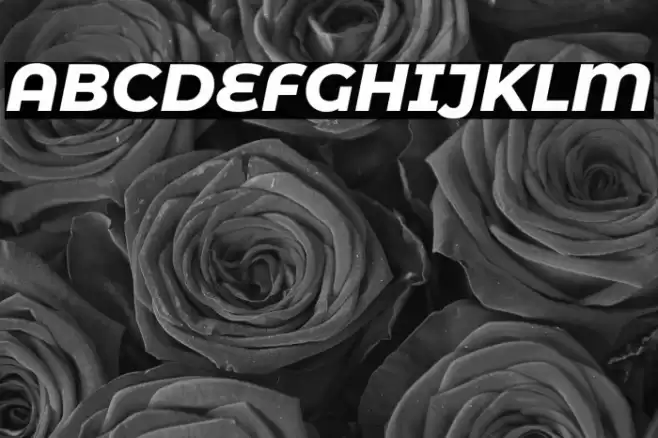 Montserrat Alternates ExtraBold Italic Font examples