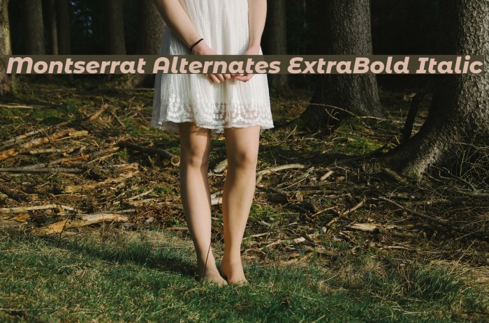 Montserrat Alternates ExtraBold Italic Font examples