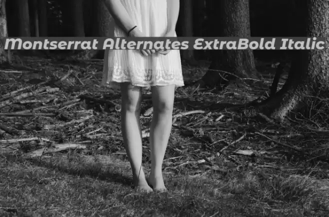 Montserrat Alternates ExtraBold Italic Font examples