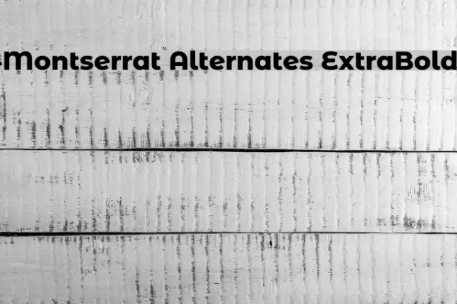 Montserrat Alternates ExtraBold خط examples