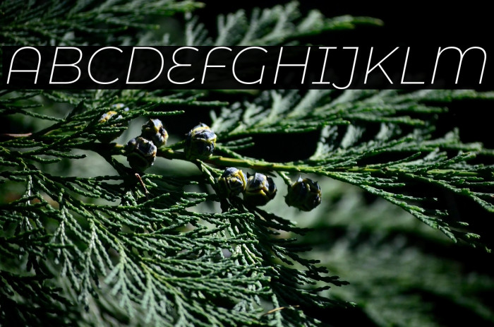 Montserrat Alternates ExtraLight Italic Example 2