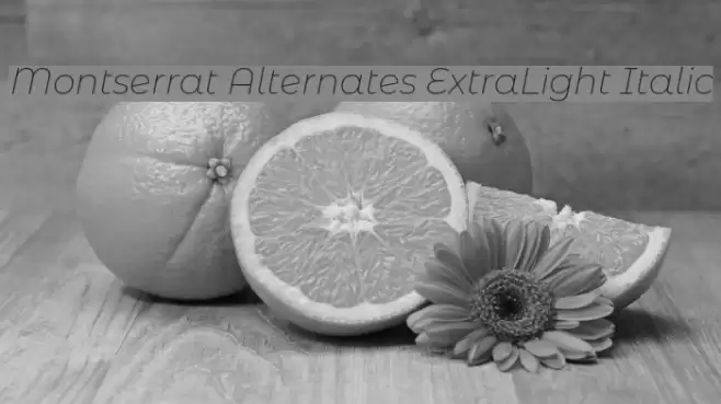 Montserrat Alternates ExtraLight Italic Font examples