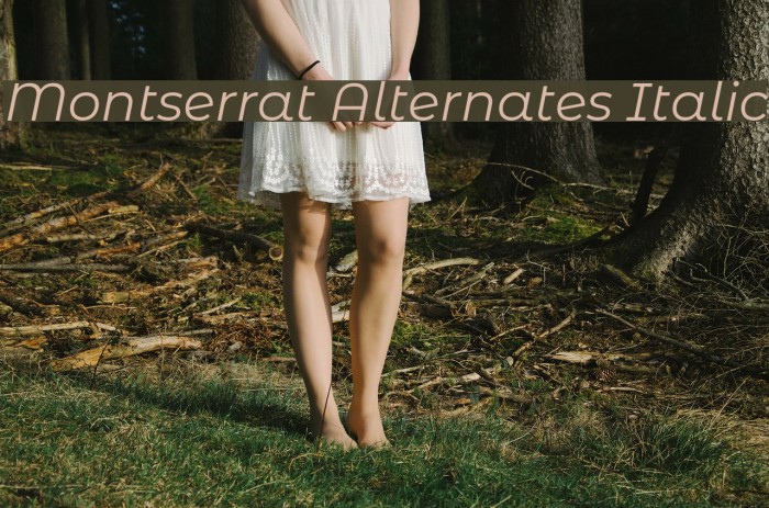 Montserrat Alternates Italic Font examples