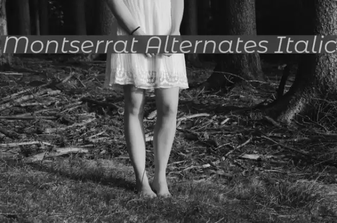 Montserrat Alternates Italic Font examples