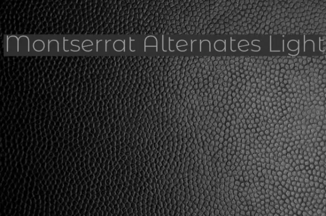 Montserrat Alternates Light Font examples