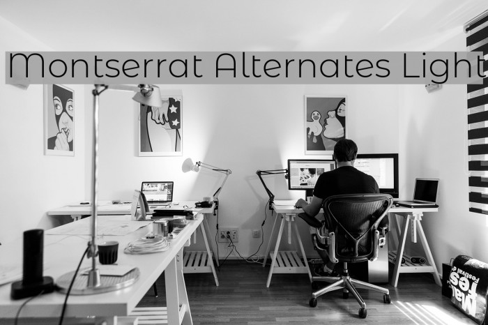 Montserrat Alternates Light Font examples