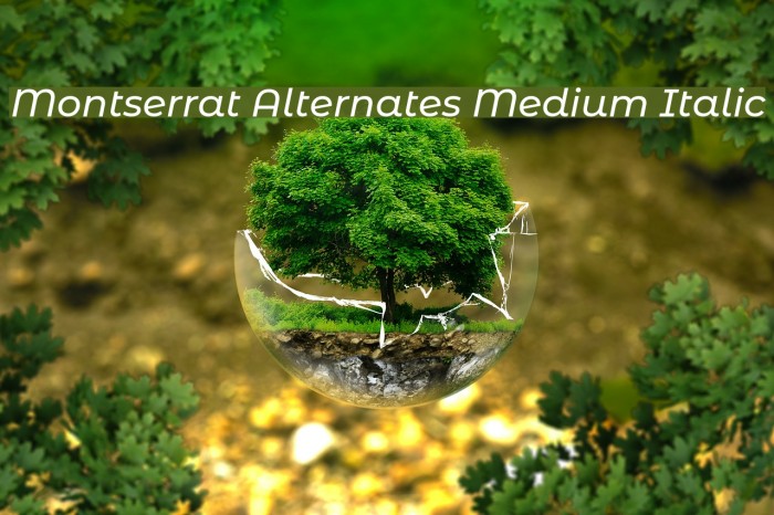 Montserrat Alternates Medium Italic Font examples