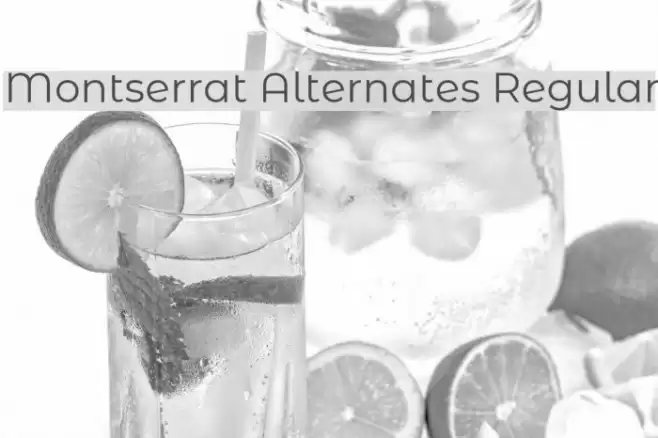 Montserrat Alternates Regular Font examples
