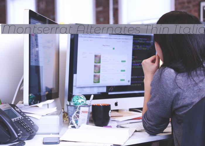 Montserrat Alternates Thin Italic Example 1