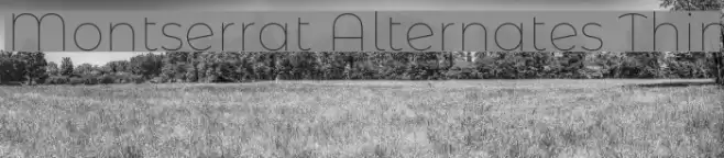 Montserrat Alternates Thin Font examples
