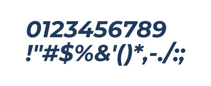Montserrat Bold Italic1 Other Characters