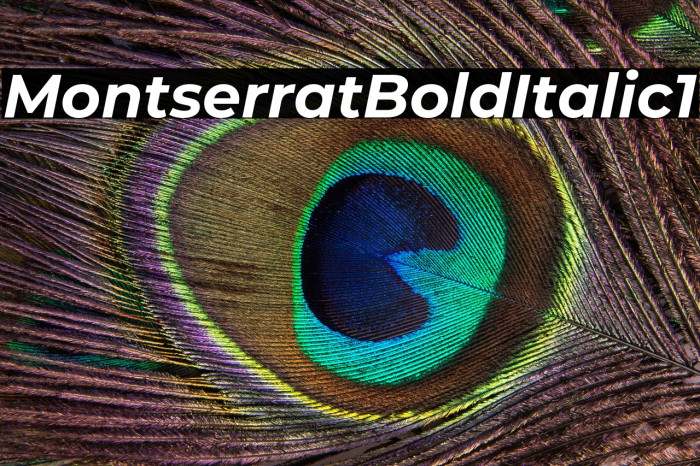 Montserrat Bold Italic1 Example 1