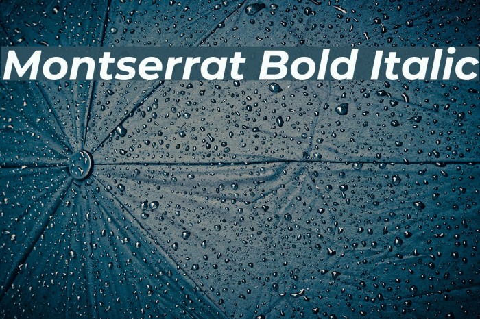 Montserrat Bold Italic Font examples