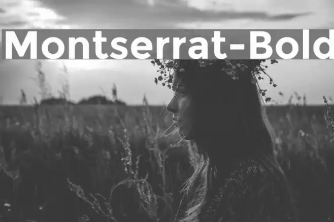 Montserrat-Bold Font examples