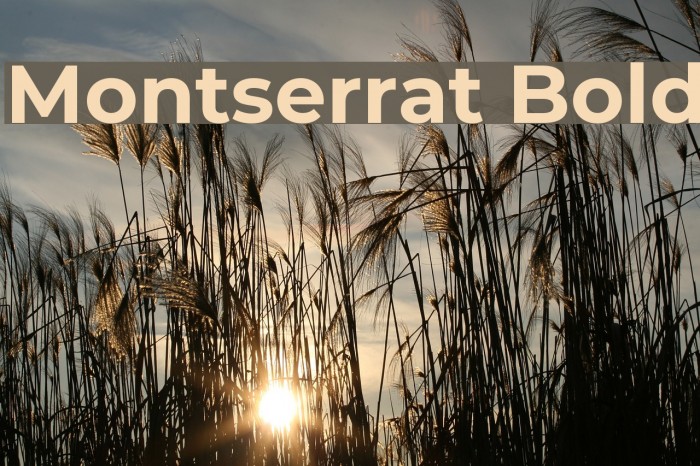 Montserrat Bold Font examples