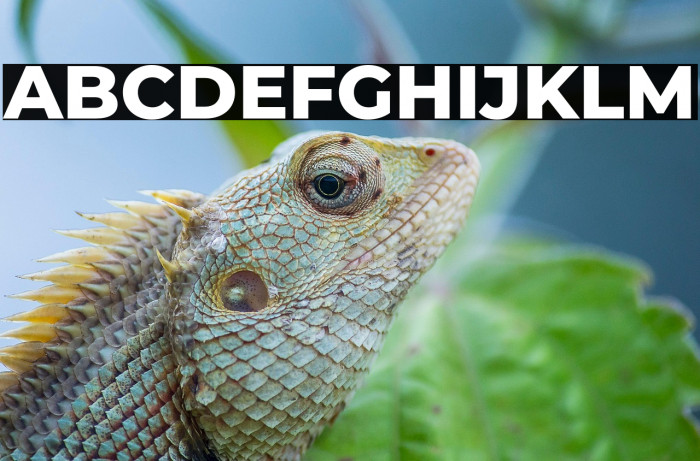 Montserrat ExtraBold Example 3