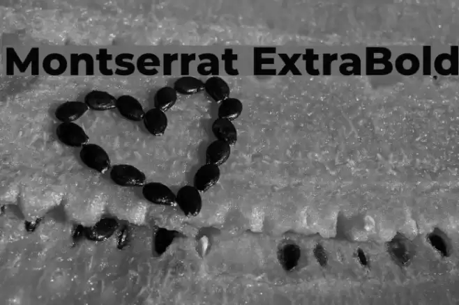 Montserrat ExtraBold Font examples