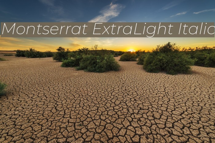 Montserrat ExtraLight Italic Font examples