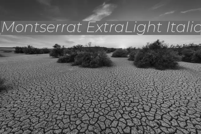 Montserrat ExtraLight Italic  examples