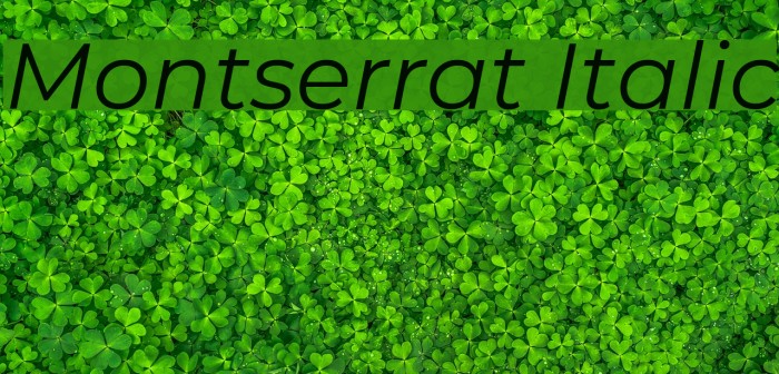 Montserrat Italic Font examples
