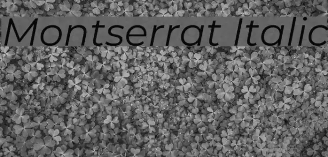 Montserrat Italic Example 1